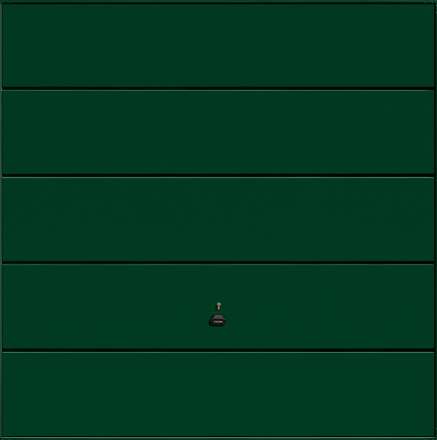 Ascot FIR GREEN (RAL 6009)